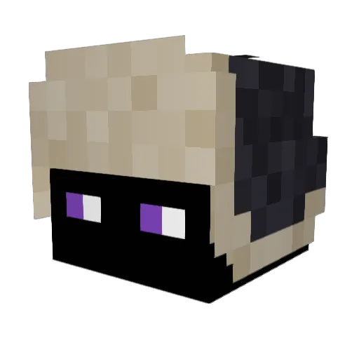 Ananas2317 Minecraft avatar head, 3D render