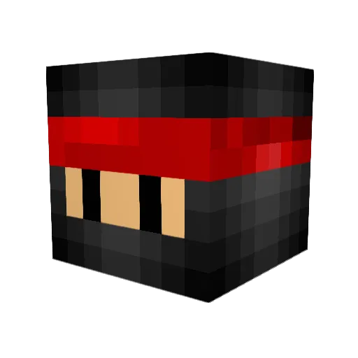 Ananas314 Minecraft avatar head, 3D render