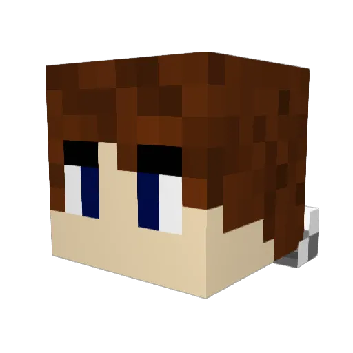 AnanasDiFrutti Minecraft avatar head, 3D render
