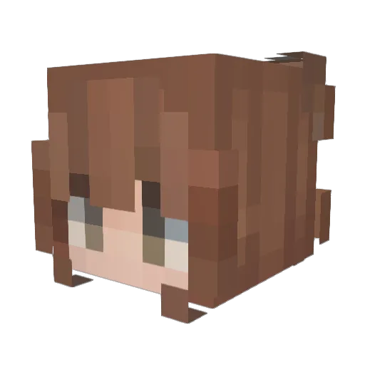 AnanasQPie Minecraft avatar head, 3D render