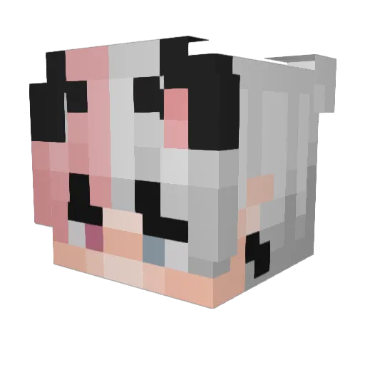 Ananasas420 Minecraft avatar head, 3D render