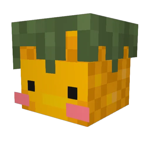 Ananashole Minecraft avatar head, 3D render