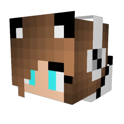 AnanasikLove Minecraft avatar head, 3D render