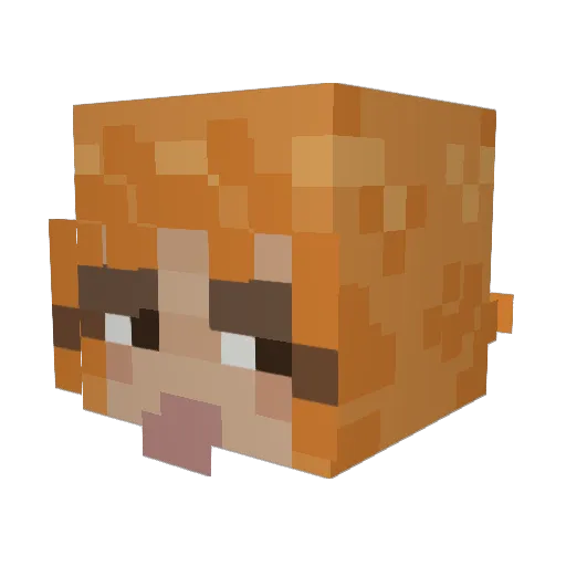 Ananasleo Minecraft avatar head, 3D render