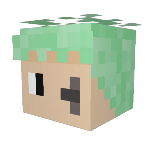 Ananay0812 Minecraft avatar head, 3D render