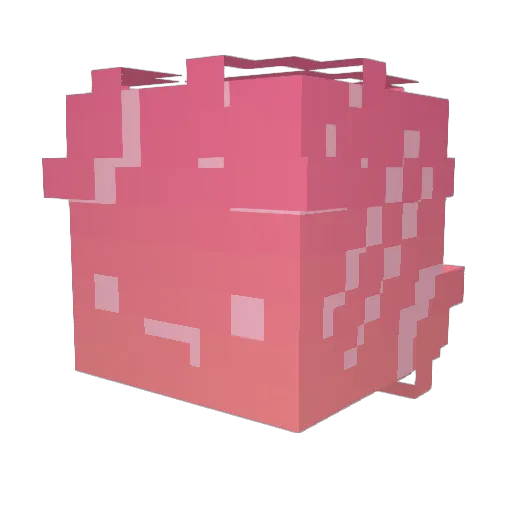 AnandSingh Minecraft avatar head, 3D render