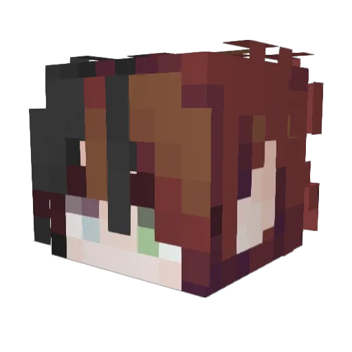 Ananima Minecraft avatar head, 3D render
