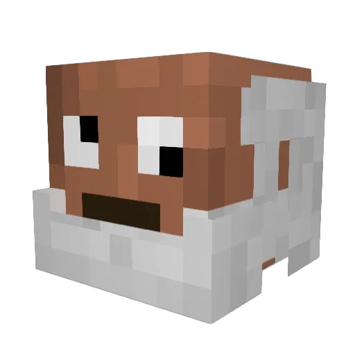 Anantris Minecraft avatar head, 3D render