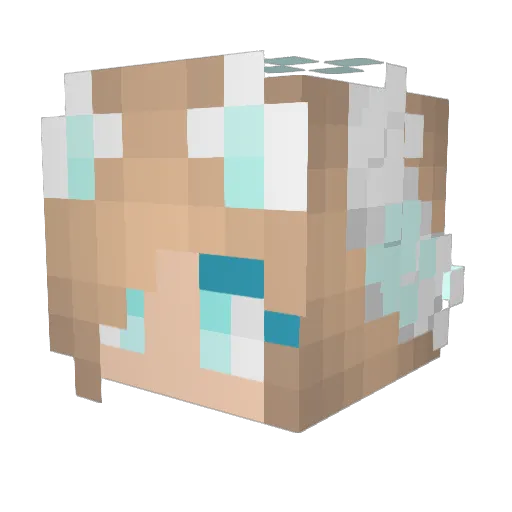 Ananya01 Minecraft avatar head, 3D render