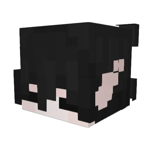 AnaoIncredulo01 Minecraft avatar head, 3D render