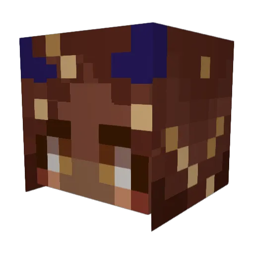 Anaphorelia Minecraft avatar head, 3D render
