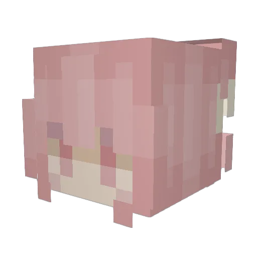 AnarchiSK3 Minecraft avatar head, 3D render