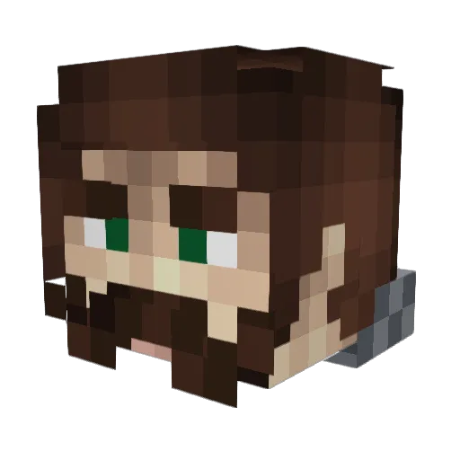 Anarchist12 Minecraft avatar head, 3D render