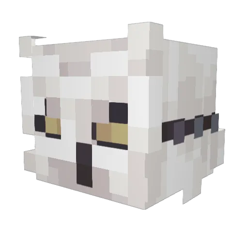 AnarchistMimi Minecraft avatar head, 3D render