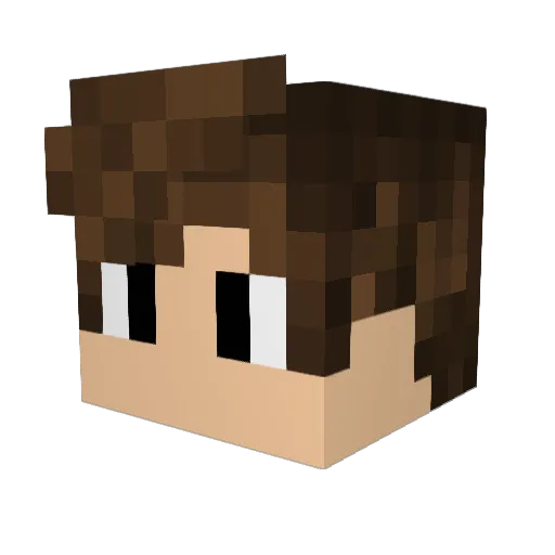 AnarchyNobbs Minecraft avatar head, 3D render