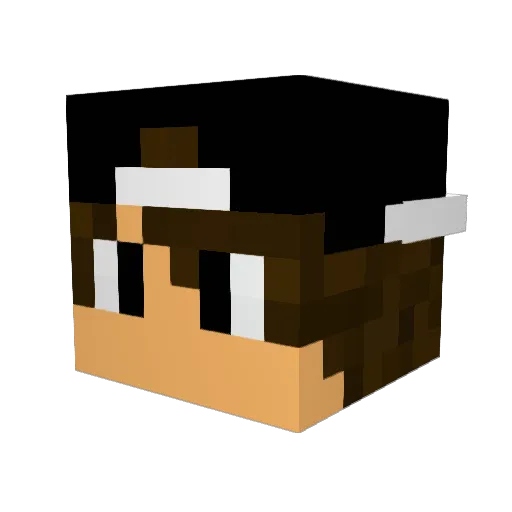 AnarchySix Minecraft avatar head, 3D render
