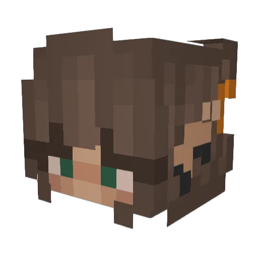 Anarchy_Gang Minecraft avatar head, 3D render