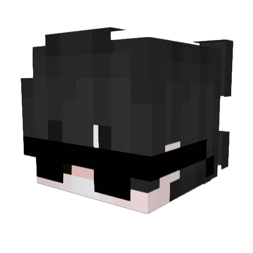 Anarchy_Op Minecraft avatar head, 3D render