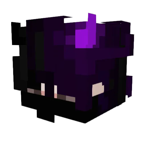 Anarcist10 Minecraft avatar head, 3D render