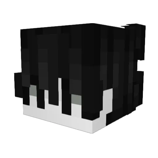 AnarkLord Minecraft avatar head, 3D render