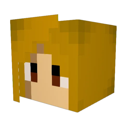 Anarsae Minecraft avatar head, 3D render