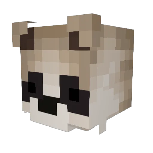 AnaruKudasai Minecraft avatar head, 3D render