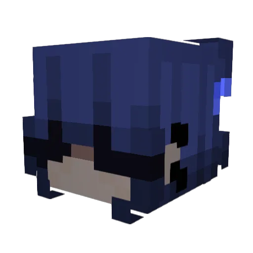 Anarxia Minecraft avatar head, 3D render