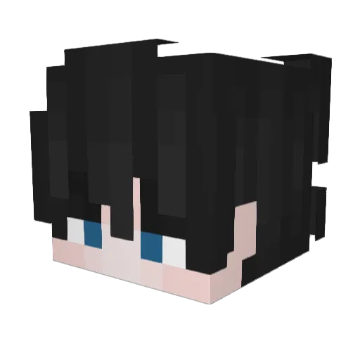 Anas_Mh Minecraft avatar head, 3D render