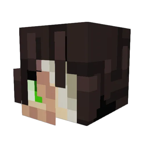 AnasqX Minecraft avatar head, 3D render