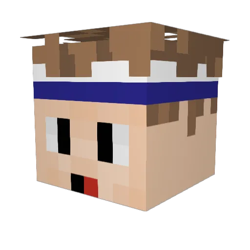 Anat Minecraft avatar head, 3D render