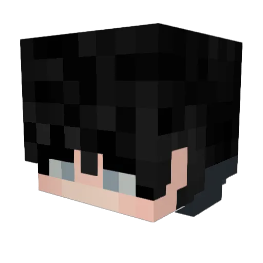 AnatarsIsCool Minecraft avatar head, 3D render