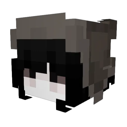 Anathesia Minecraft avatar head, 3D render