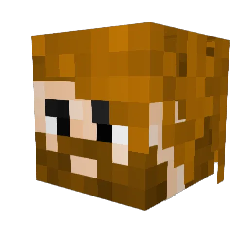 Anatidaephobie Minecraft avatar head, 3D render