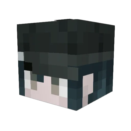 Anatomimi Minecraft avatar head, 3D render