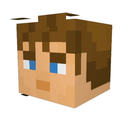 AnatomyGaming Minecraft avatar head, 3D render