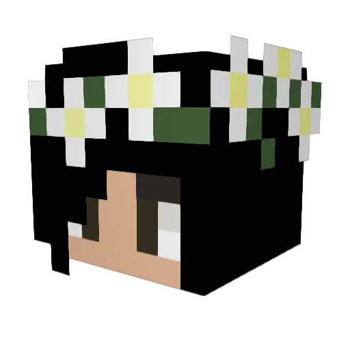 Anaxella Minecraft avatar head, 3D render