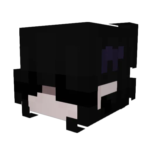Anaxiza Minecraft avatar head, 3D render
