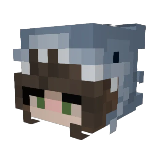 AnaxzwolfieZ Minecraft avatar head, 3D render