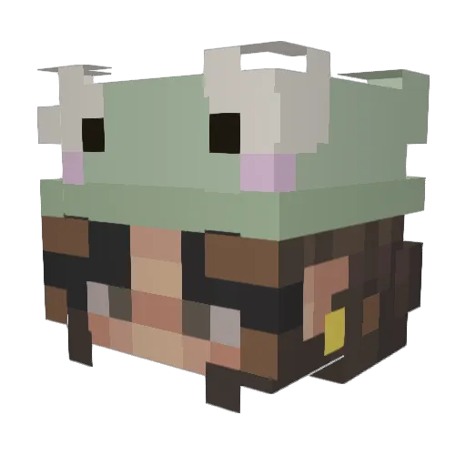 Anaya1 Minecraft avatar head, 3D render