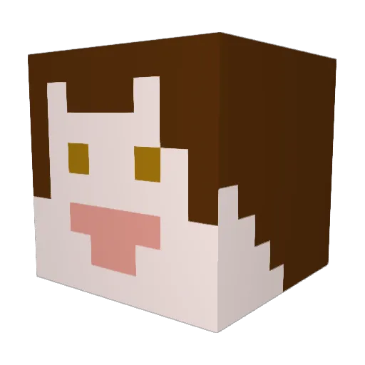 Anaytes Minecraft avatar head, 3D render