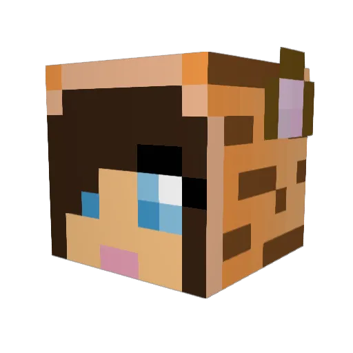 Anazyd Minecraft avatar head, 3D render