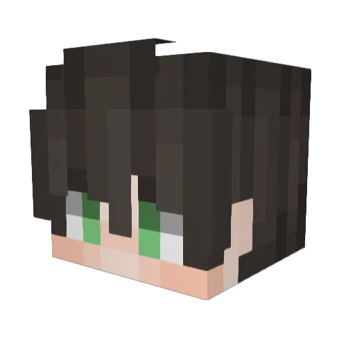 Anbe2 Minecraft avatar head, 3D render