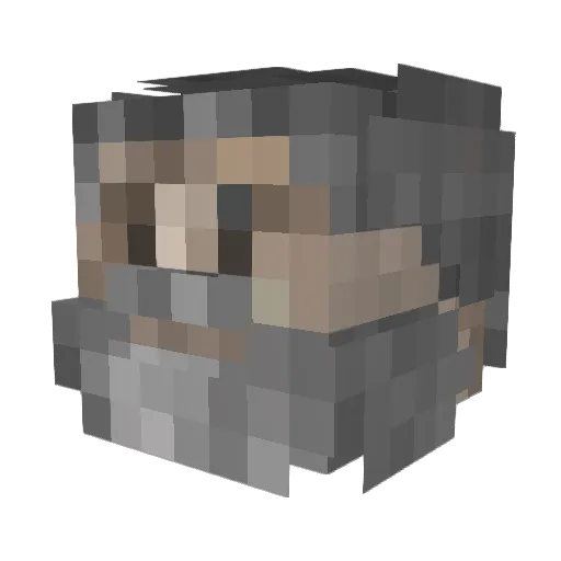 Anbeginn Minecraft avatar head, 3D render