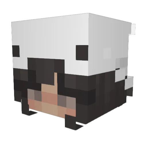 Anbess Minecraft avatar head, 3D render