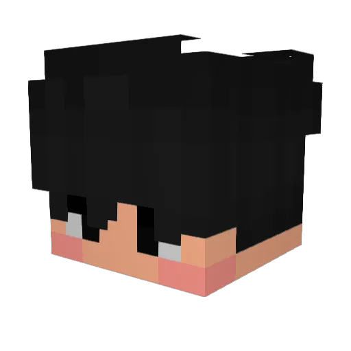 AncelottixX Minecraft avatar head, 3D render