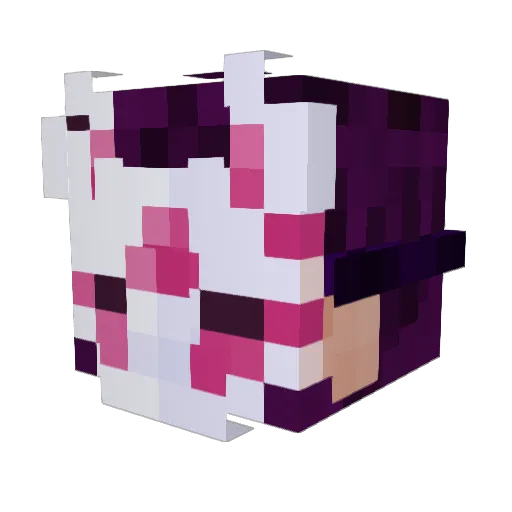 Ancesatry Minecraft avatar head, 3D render