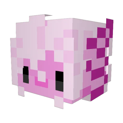 Ancholotito Minecraft avatar head, 3D render