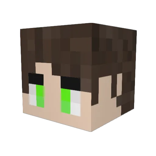 Ancky004 Minecraft avatar head, 3D render