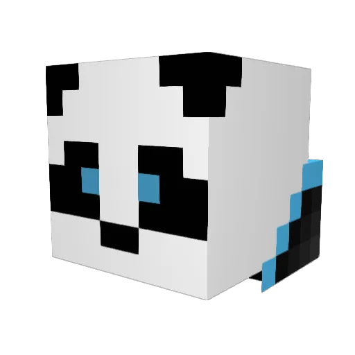 AndaPanda420 Minecraft avatar head, 3D render