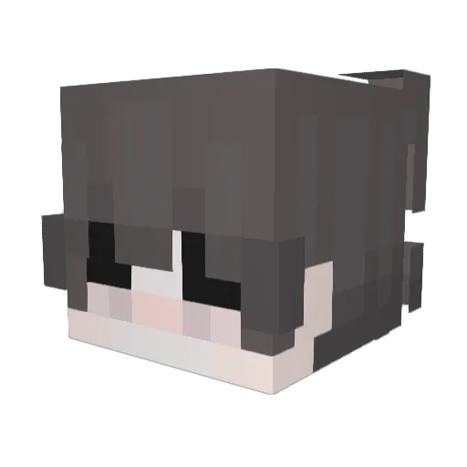 Andeerw Minecraft avatar head, 3D render